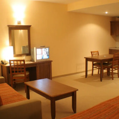 Lion Hotel комната для гостей фото 2
