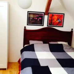 Hostel One Miru комната для гостей