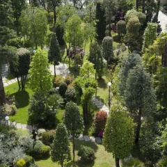 Отель Abano Grand Hotel Италия, Абано-Терме - 3 отзыва об отеле, цены и фото номеров - забронировать отель Abano Grand Hotel онлайн приотельная территория