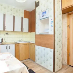 Гостиница Domumetro Выхино в номере фото 3