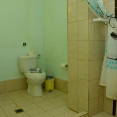 Отель Golden Beach Греция, Ситония - отзывы, цены и фото номеров - забронировать отель Golden Beach онлайн ванная
