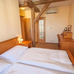 Отель Pension Brezina Prague 3* Номер Делюкс