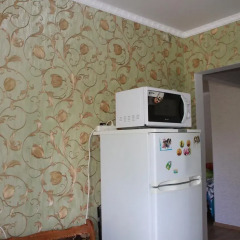 Апартаменты Apartment at Zdorovtseva удобства в номере фото 2