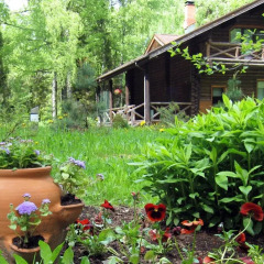 Гостиница Ekootel Romanov Les в Лунево 4 отзыва об отеле, цены и фото номеров - забронировать гостиницу Ekootel Romanov Les онлайн фото 2