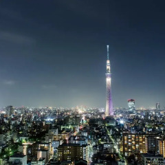 Tobu Hotel Levant Tokyo 3* Номер Casual с различными типами кроватей
