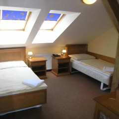 Отель Pension Brezina Prague 3* Стандартный номер фото 3