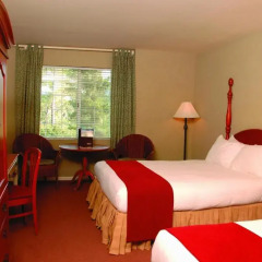 Отель Cambria Pines Lodge 3* Стандартный номер с различными типами кроватей фото 2