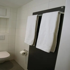 Отель Aparthotel Splendid in Zürich ванная фото 4