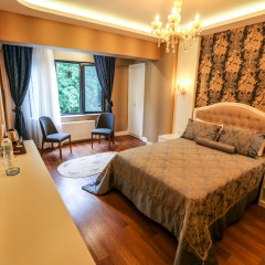Thermal Saray Hotel комната для гостей фото 17