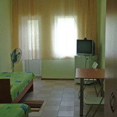 Гостиница Amaliya комната для гостей фото 2