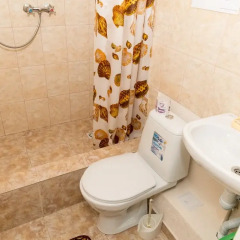 Гостиница Guest House Nika Номер Комфорт с различными типами кроватей фото 28