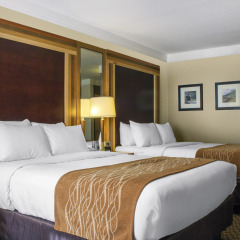 Отель Comfort Inn & Suites Durango комната для гостей фото 8
