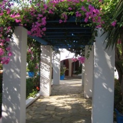 Palm Bay Hotel вид на фасад фото 2