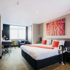 Отель Arbor City 4* Представительский номер с различными типами кроватей