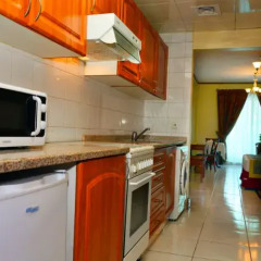 Отель Desert Rose Hotel Apartments ОАЭ, Дубай - отзывы, цены и фото номеров - забронировать отель Desert Rose Hotel Apartments онлайн в номере фото 2