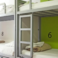 The White Tulip Hostel ванная