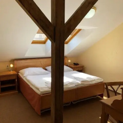 Отель Pension Brezina Prague 3* Стандартный номер фото 5