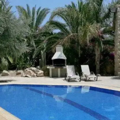 Отель Z and X Holiday Villas бассейн фото 4