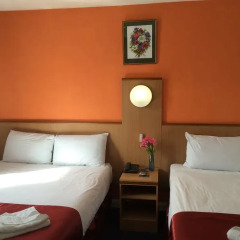 Euro Wembley - Elm Hotel комната для гостей фото 9