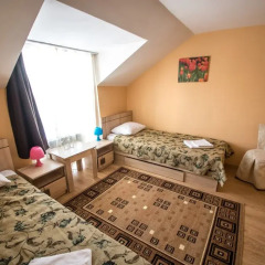 Гостиница Золотой лев 2* Номер категории Эконом с 2 отдельными кроватями