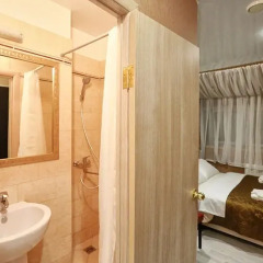 Elysium Hotel 3* Стандартный номер с разными типами кроватей фото 18