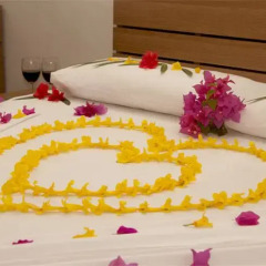 Отель Palm View Tourist Guest House Мале в номере