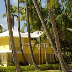 Отель The Puntacana Hotel Доминикана, Пунта Кана - отзывы, цены и фото номеров - забронировать отель The Puntacana Hotel онлайн помещение для мероприятий