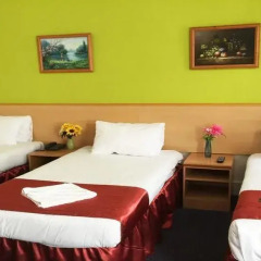 Euro Wembley - Elm Hotel комната для гостей фото 3