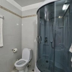 Elysium Hotel 3* Номер Комфорт с разными типами кроватей фото 28