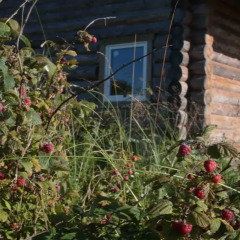 Гостиница Гостевой дом За Онегу в Типинице отзывы, цены и фото номеров - забронировать гостиницу Гостевой дом За Онегу онлайн Типиницы вид на фасад