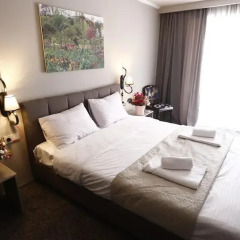 Art Hotel Claude Monet 3* Номер Делюкс с различными типами кроватей фото 4