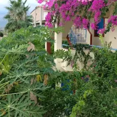 Palm Bay Hotel