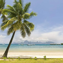 Отель Sofitel Tahiti Maeva Beach Resort Французская Полинезия, Фааа - отзывы, цены и фото номеров - забронировать отель Sofitel Tahiti Maeva Beach Resort онлайн пляж фото 2