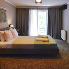 Art Hotel Claude Monet 3* Номер Делюкс с различными типами кроватей фото 3