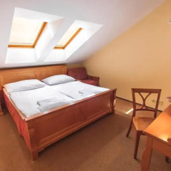 Отель Pension Brezina Prague 3* Стандартный номер