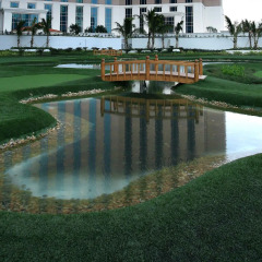 Отель The Venetian Macao развлечения