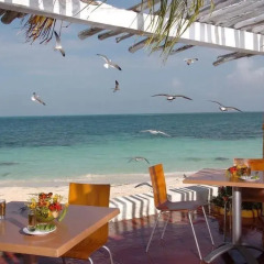 Отель Beach House Maya Caribe by Faranda Hotels Мексика, Канкун - 4 отзыва об отеле, цены и фото номеров - забронировать отель Beach House Maya Caribe by Faranda Hotels онлайн пляж фото 2