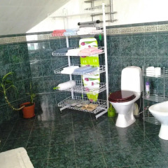Гостиница Alisa Guest House ванная