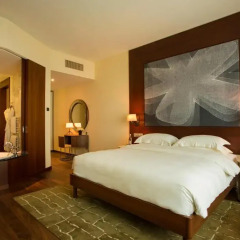 Отель Park Hyatt Zurich 5* Люкс Park с различными типами кроватей