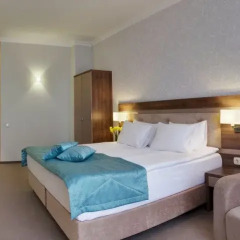 Гостиница Хрустальный Resort & Spa 4* Стандартный номер с различными типами кроватей фото 3