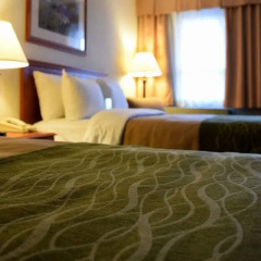 Отель Comfort Inn & Suites Канада, Саанич - отзывы, цены и фото номеров - забронировать отель Comfort Inn & Suites онлайн комната для гостей фото 9