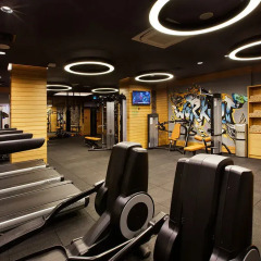 Отель Holiday Inn Istanbul - Kadikoy фитнесс-зал фото 2