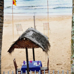 Отель WASANA Beach Hotel & Restaurant Шри-Ланка, Индурува - отзывы, цены и фото номеров - забронировать отель WASANA Beach Hotel & Restaurant онлайн пляж фото 3