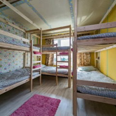 Гостиница Crazy Monkey Hostel next to the Moscow Zoo в Москве 4 отзыва об отеле, цены и фото номеров - забронировать гостиницу Crazy Monkey Hostel next to the Moscow Zoo онлайн Москва интерьер отеля