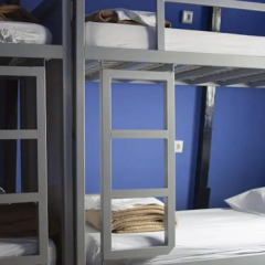 The White Tulip Hostel комната для гостей фото 2