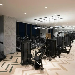 Отель Novotel Ambassador Seoul Yongsan - Seoul Dragon City фитнесс-зал фото 4