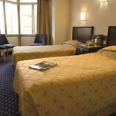 Bedford Hotel London комната для гостей фото 4