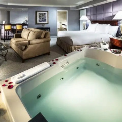 Park MGM Las Vegas Hotel 4* Номер Park MGM с различными типами кроватей фото 2