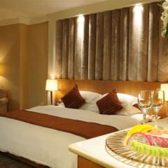 Отель Beijing Debao Hotel Китай, Пекин - отзывы, цены и фото номеров - забронировать отель Beijing Debao Hotel онлайн комната для гостей фото 6
