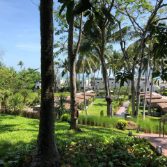 Отель Serenity Resort & Residences Phuket 4* Номер Palm cabana с различными типами кроватей фото 4